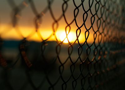fences, chain link fence - desktop wallpaper