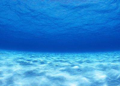 underwater - desktop wallpaper
