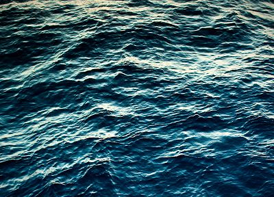water, ocean, blue morpho, sea - random desktop wallpaper