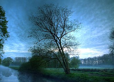 landscapes, nature, trees, mist, rivers, reflections, evening - related desktop wallpaper