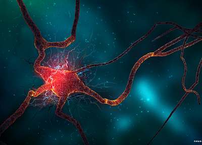 science fiction, neuroscience, synapse, neurons - random desktop wallpaper