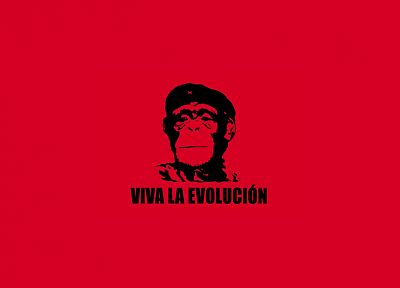 Che Guevara, monkeys, simple background - desktop wallpaper