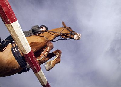 animals, horses, jumper, TV shows - desktop wallpaper