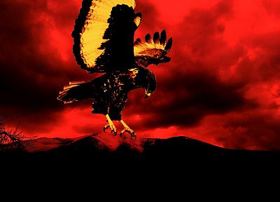 sunset, Horus Sun God, bird of prey - random desktop wallpaper