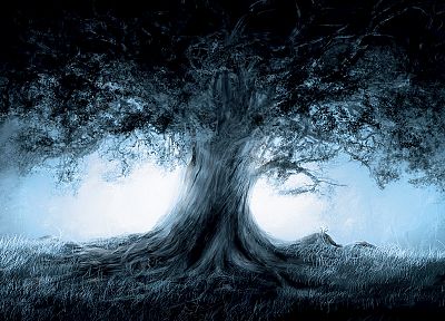 trees, magic - desktop wallpaper