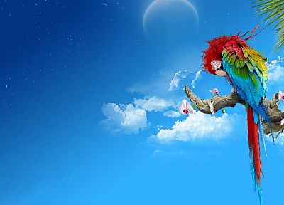 multicolor, birds, parrots, Scarlet Macaws - random desktop wallpaper