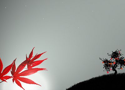 leaf, trees, silhouettes - desktop wallpaper