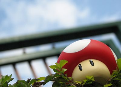 Mario, mushrooms - desktop wallpaper
