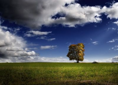 clouds, nature, trees, skylines, Earth, fields, outdoors, plants - related desktop wallpaper