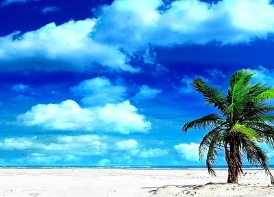clouds, sand, islands, palm trees, beaches - desktop wallpaper
