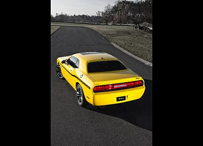 jackets, Dodge Challenger, Dodge Challenger SRT8, yellow cars - related desktop wallpaper