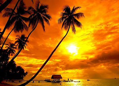 sunset, silhouettes, tropical, palm trees, huts - random desktop wallpaper