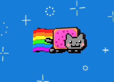 outer space, cats, rainbows, Nyan Cat, Pop-Tarts - related desktop wallpaper