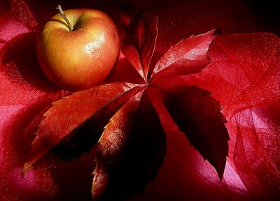 leaves, decoration, apples, decorations - random desktop wallpaper