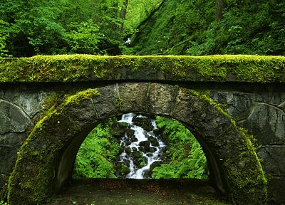 bridges, streams, moss - desktop wallpaper