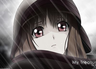 Spice and Wolf, Holo The Wise Wolf - random desktop wallpaper