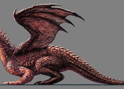 dragons - duplicate desktop wallpaper