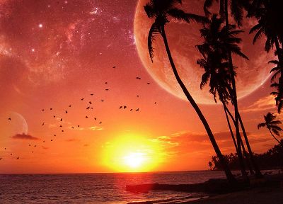 sunset, ocean, Moon, palm trees, beaches - random desktop wallpaper