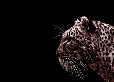 animals, jaguars, photo manipulation, black background - random desktop wallpaper