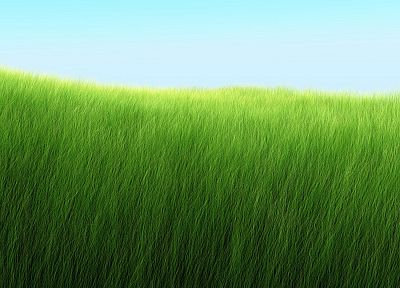 nature, grass, fields, Grassland - random desktop wallpaper