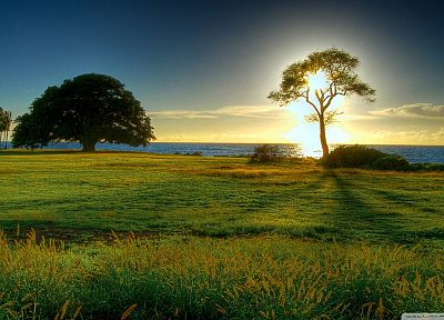 sunset, trees, meadows, sea - duplicate desktop wallpaper