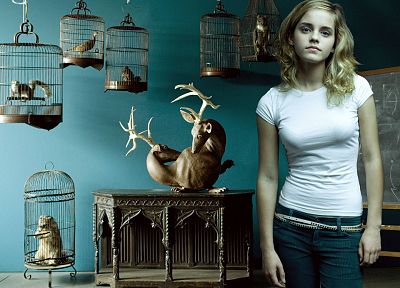 women, Emma Watson - duplicate desktop wallpaper