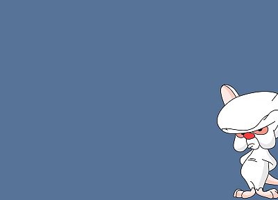 Pinky and the Brain - related desktop wallpaper