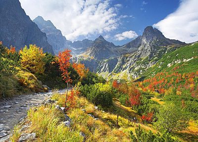 mountains, valleys, rivers, Slovakia - desktop wallpaper