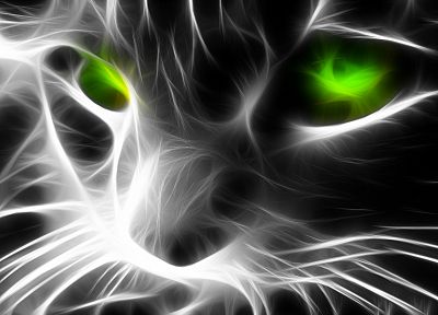 cats, animals, Fractalius, green eyes - desktop wallpaper