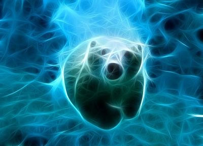 water, blue, animals, Fractalius, swimming, polar bears - desktop wallpaper