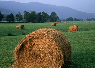 landscapes, grass, fields, hay, farming, agriculture - desktop wallpaper