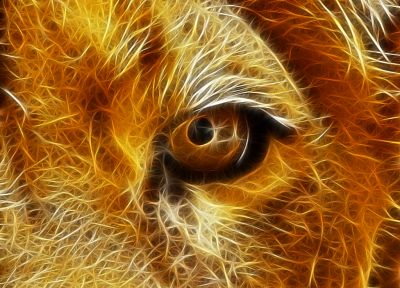 Fractalius, lions - related desktop wallpaper