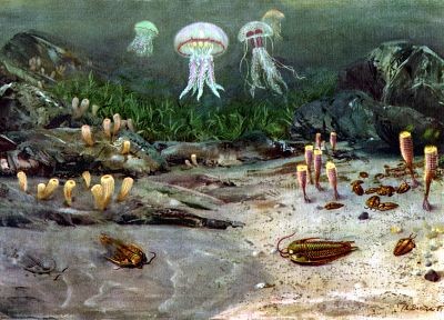paintings, jellyfish, sea anemones, prehistoric, sealife, Zdenek Burian - random desktop wallpaper