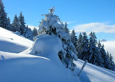 mountains, nature, snow, forests, snow landscapes - random desktop wallpaper