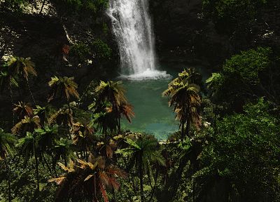 tropical, paradise, palm trees, waterfalls - desktop wallpaper
