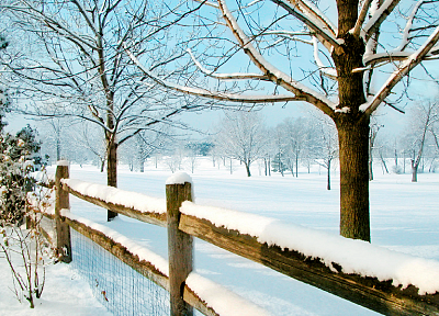 winter, snow, trees, fences - random desktop wallpaper