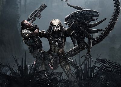 video games, predator, US Marines Corps, Aliens vs Predator movie, battles, Alien - related desktop wallpaper