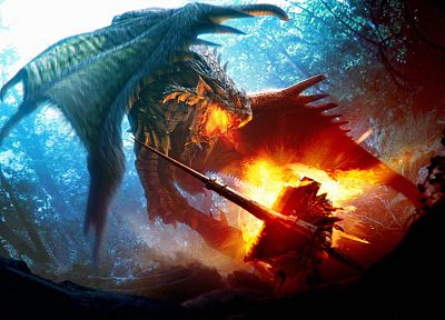 dragons, Monster Hunter - desktop wallpaper