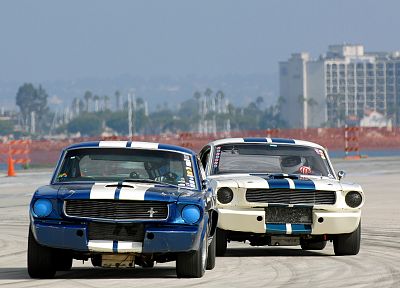 cars, vehicles, Ford Mustang, Shelby Mustang - duplicate desktop wallpaper