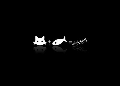 cats, fish, black background - duplicate desktop wallpaper
