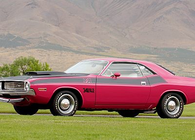 vintage, cars, grass, muscle cars, vehicles, Dodge Challenger, skyscapes, classic cars - desktop wallpaper