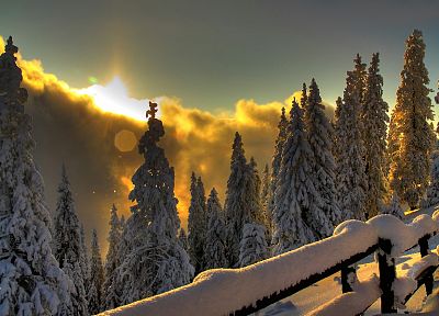 landscapes, nature, winter, snow - desktop wallpaper