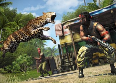 video games, fps, leopards, Far Cry 3 - related desktop wallpaper