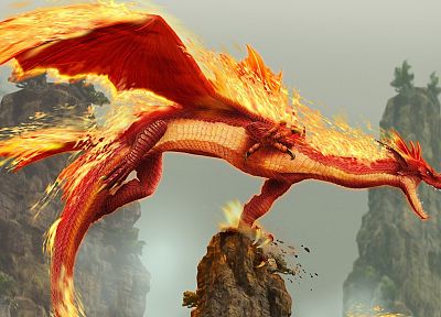 dragons, fire - related desktop wallpaper