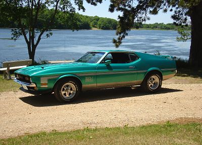trees, cars, Ford Mustang Mach 1 - related desktop wallpaper