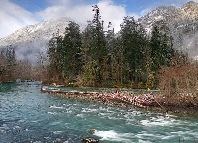 trees, mist, rivers, National Park, Washington - random desktop wallpaper