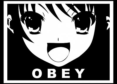 obey, Suzumiya Haruhi - related desktop wallpaper