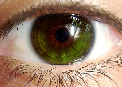 green, close-up, eyes - desktop wallpaper