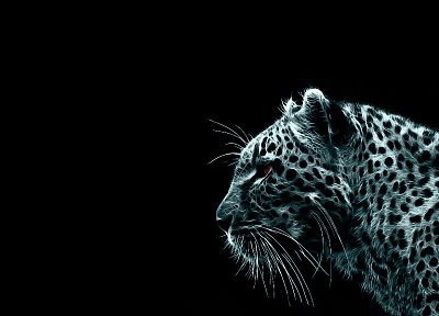 cheetahs - desktop wallpaper