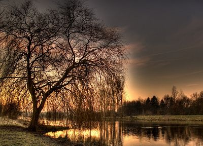 sunset, trees, HDR photography - desktop wallpaper